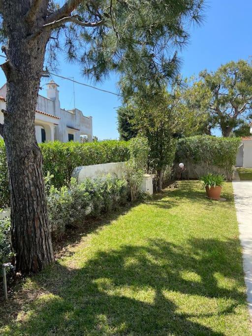 Villa A Marina Di أوستوني المظهر الخارجي الصورة